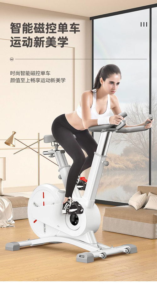 湯河店 家用磁控動(dòng)感單車(chē)app智能室內(nèi)健身車(chē)多檔變速運(yùn)動(dòng)器材