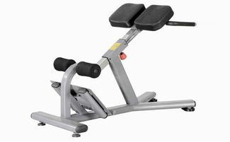 山東室內(nèi)運(yùn)動(dòng)器材產(chǎn)業(yè)發(fā)展概覽 優(yōu)質(zhì)制造商與市場趨勢分析